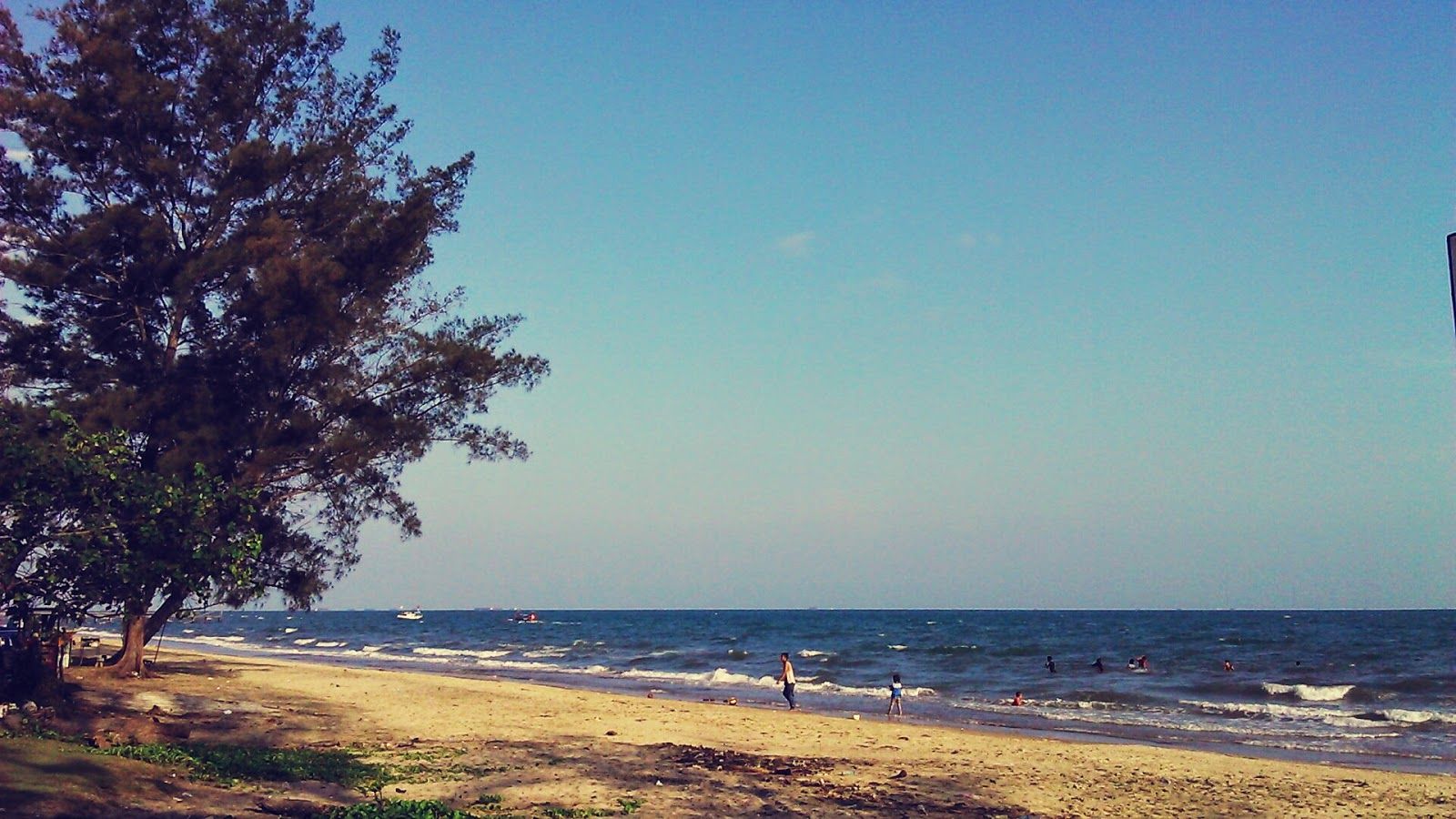 Pesona Pantai Riam Tanah Bumbu: Pantai Rindu Alam Berbalut Pohon Pinus nan Teduh