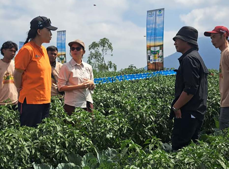 500 Petani Muda Magelang Belajar Tani Modern Lewat Program Bayer Satria, Hasil Menjanjikan