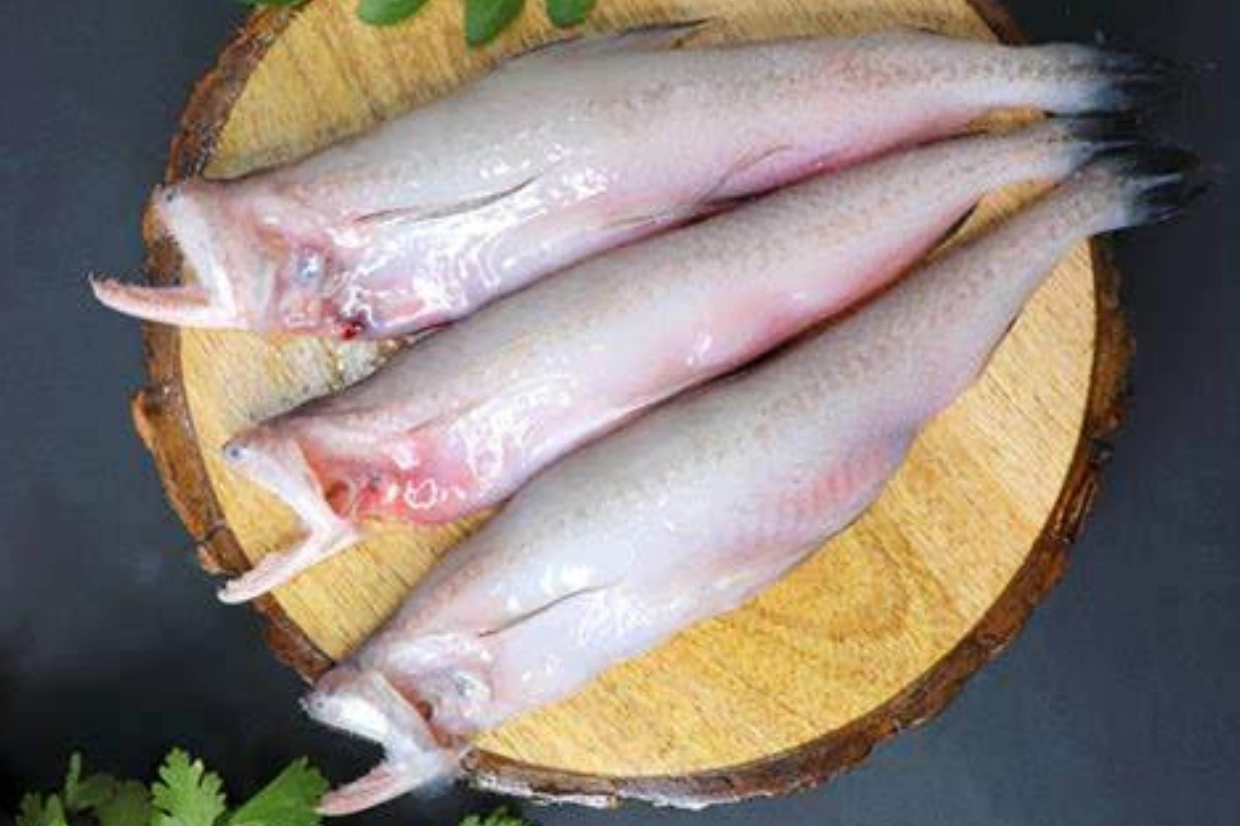 7 Manfaat Ikan Lomek untuk Kesehatan yang Sayang Dilewatkan