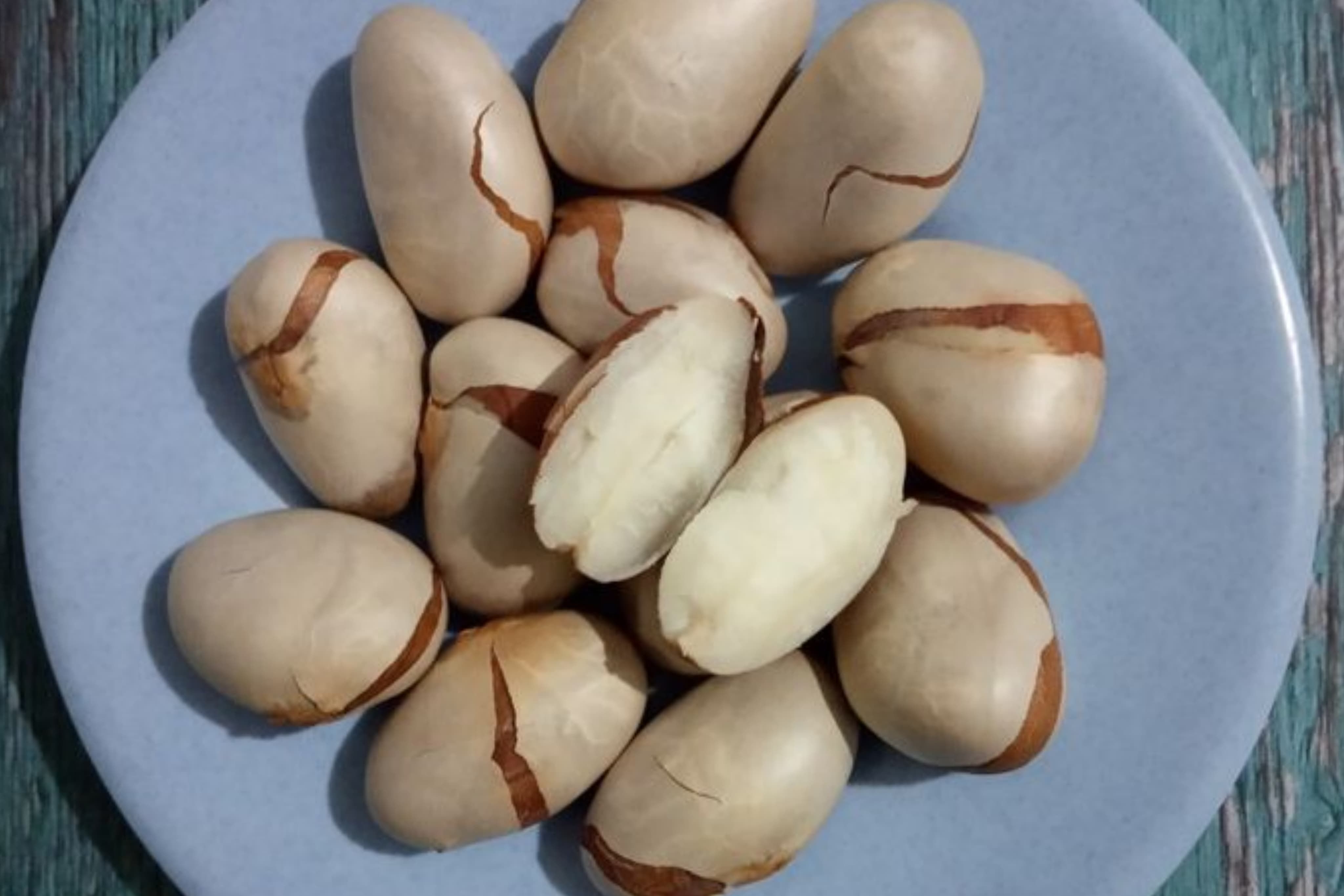 7 Manfaat Biji Nangka untuk Kesehatan yang Jarang Diketahui