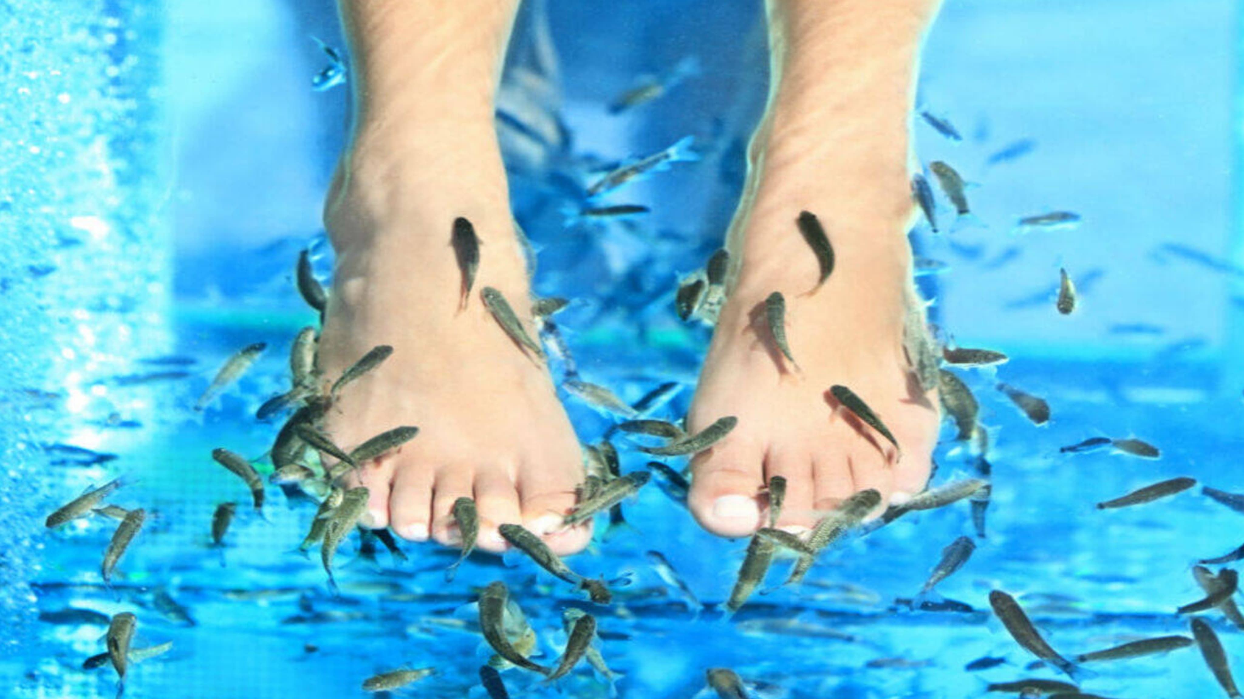 7 Manfaat Terapi Ikan untuk Kesehatan yang Perlu Diketahui