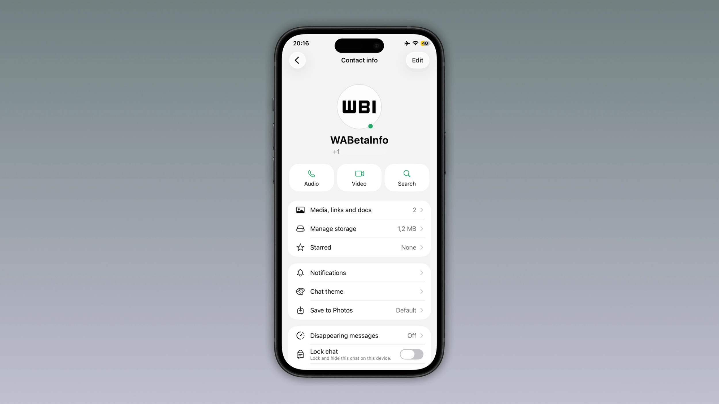 WhatsApp Rilis Fitur Titik Hijau Online di iPhone, Begini Cara Kerjanya!