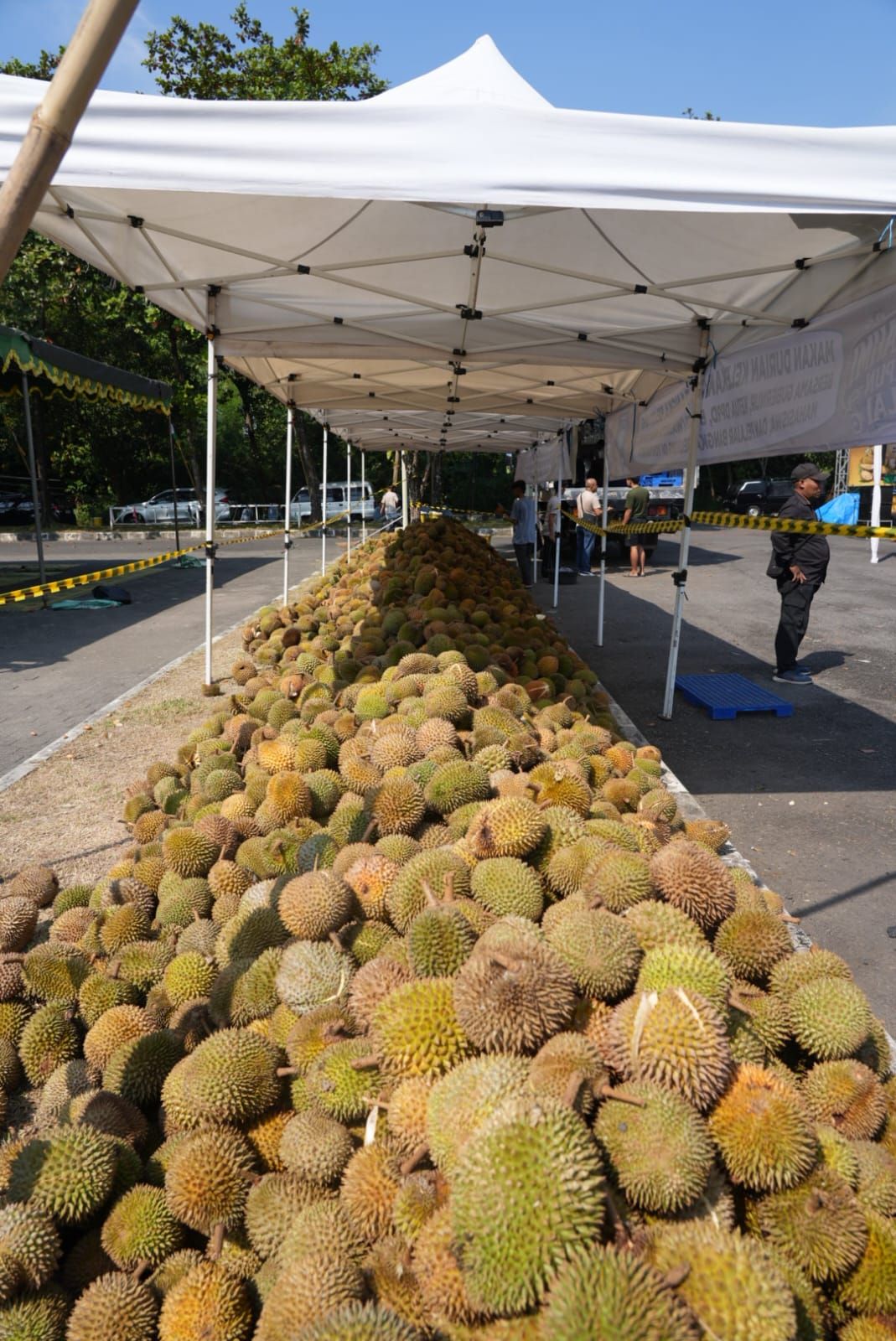 Durian Asal Babel Satu Kontainer Diangkut ke Yogyakarta untuk Dinikmati Perantau