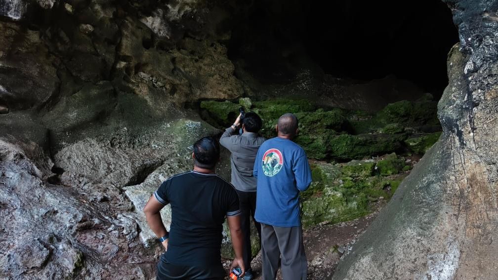Rahasia Goa Batu Hapu: Surga Tersembunyi Kelelawar di Meratus UNESCO Global Geopark