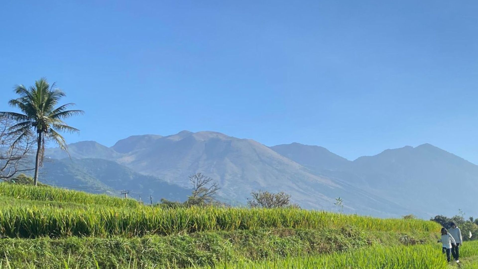 BBKSDA Jabar Pastikan Kebakaran Gunung Guntur Tidak Merambat ke Tegakan Hutan