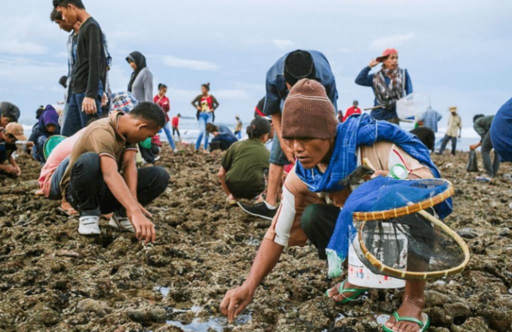 Menangkap Keberkahan Cacing Laut dalam Ritual Magis Bau Nyale di Lombok