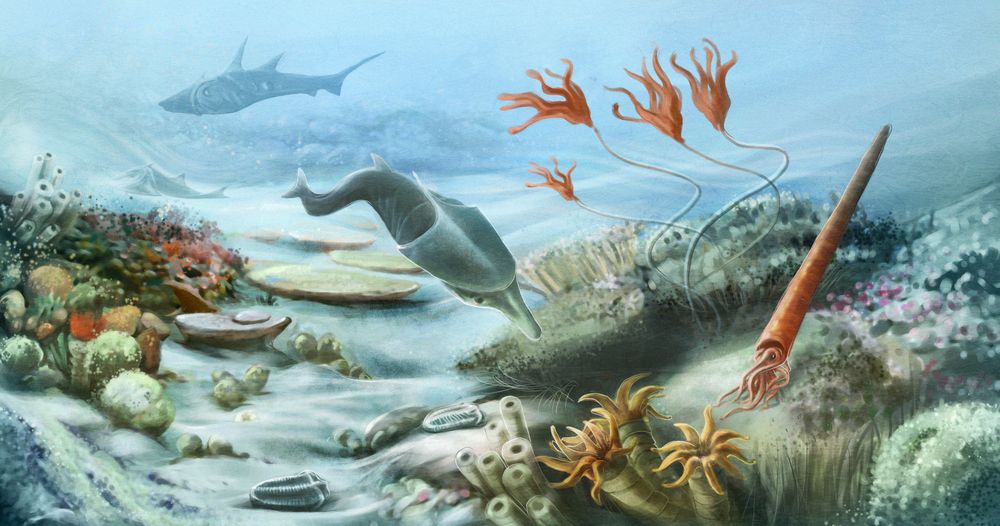 Mengenal Zaman Paleozoikum, Masa Awal Kehidupan di Bumi