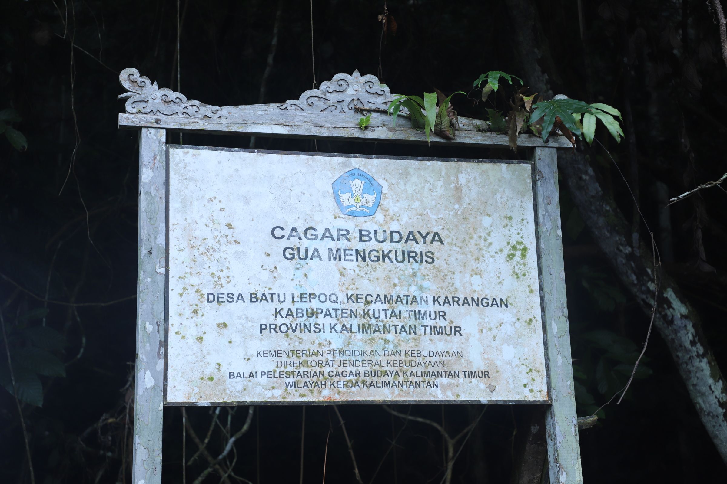 Intip Keunikan Gua Mengkuris, Warisan Geologi Jutaan Tahun di Kutai Timur yang Dinilai Tim Geopark