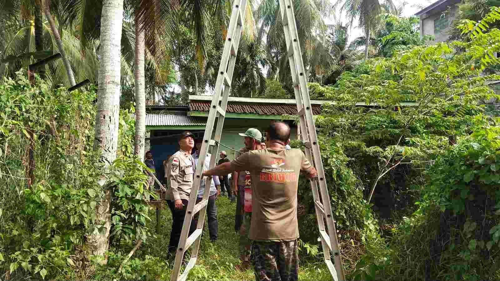 Pria di Aceh Besar Meninggal Dunia Usai Terjatuh dari Pohon Kelapa