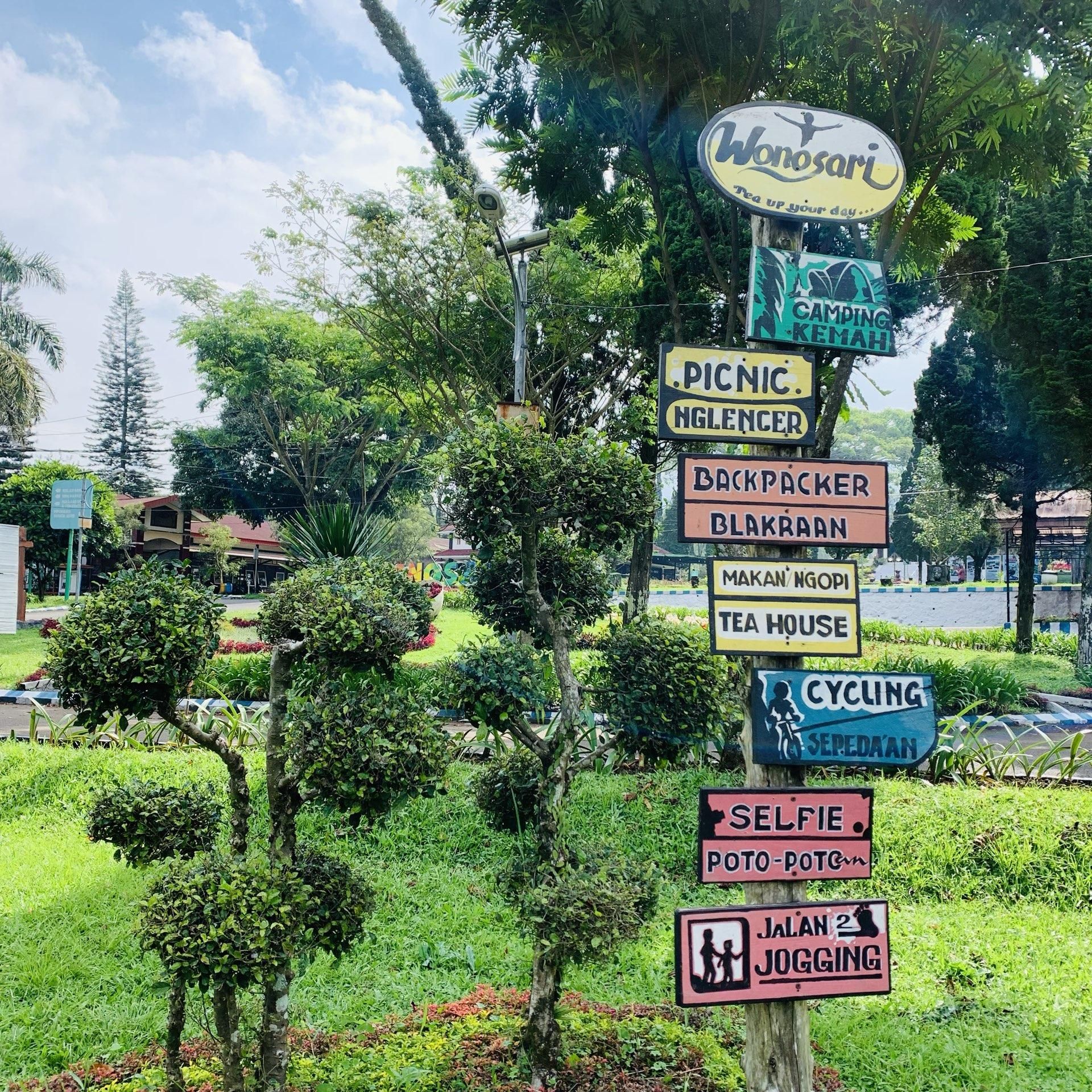 Daftar Wisata Agro di Wonoasri Lengkap dengan Aktivitas Serunya