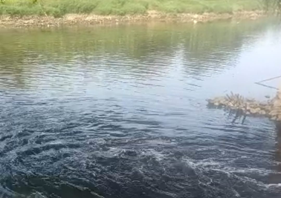 DLHK Banten Temukan Penyebab Air Sungai Cisadane Menjadi Hitam Akibat Industri