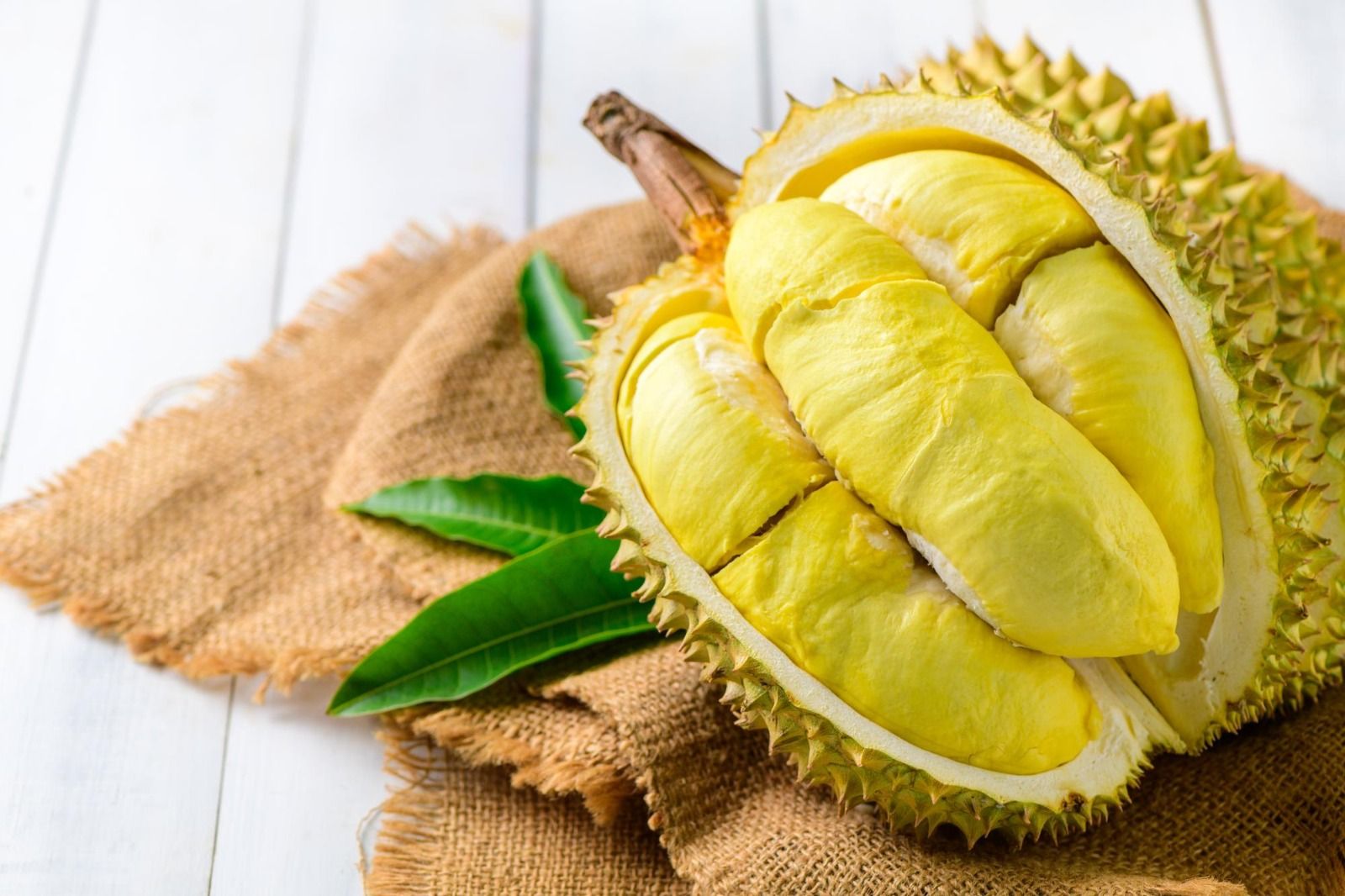 Pecinta Durian Wajib Tahu! Vietnam Bakal Gelar Festival Durian Terbesar pada Agustus 2026