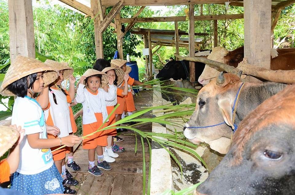Wisata Agrowisata di Kota Cilegon, Destinasi Edukasi Keluarga yang Wajib Dikunjungi