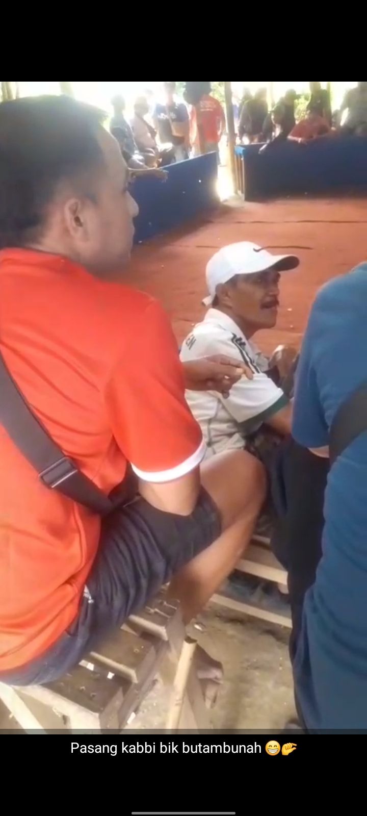 Viral Video Diduga Kades di Jember Main Judi Sabung Ayam, Polisi Lakukan Pendalaman