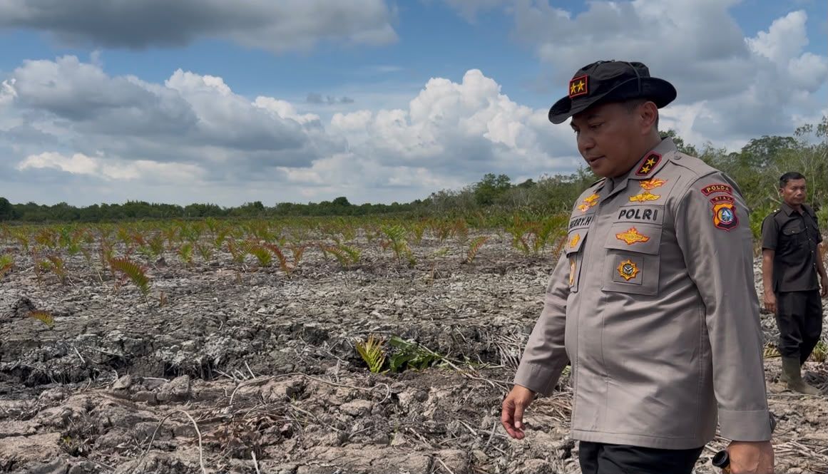 Kapolda Riau Tinjau Perusakan Mangrove 118 Hektare di Rokan Hilir, Dua Tersangka dan Dua Ekskavator Diamankan