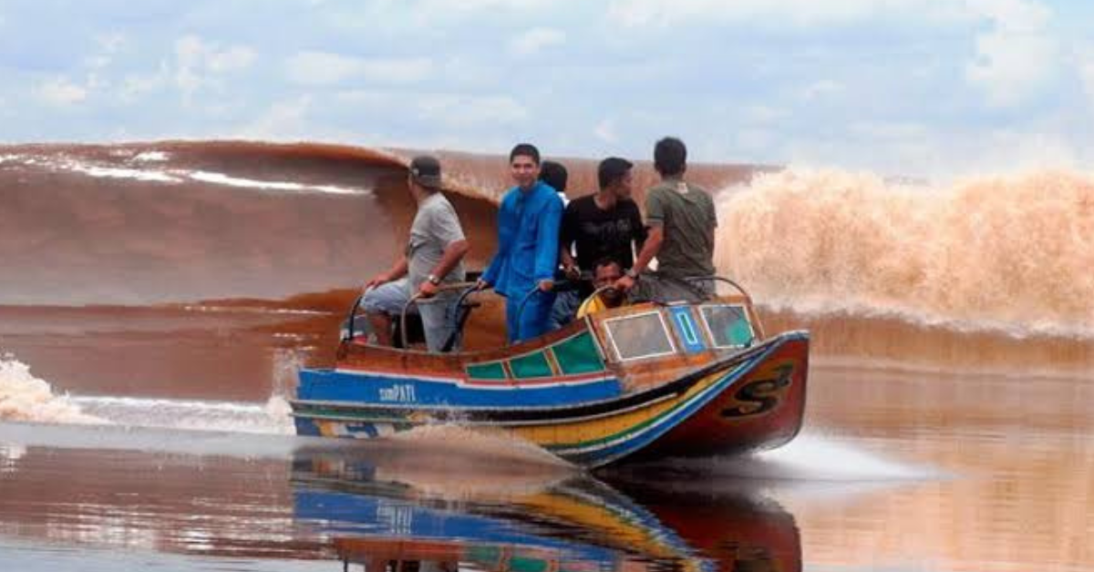 Menantang Tujuh Hantu: Kisah Unik Selancar Sungai di Festival Bekudo Bono Riau