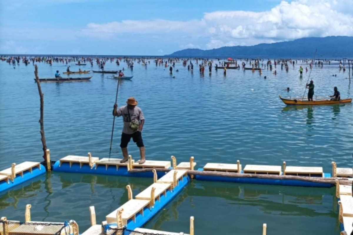 Mata Pencaharian Suku Biak Bertumpu pada Laut