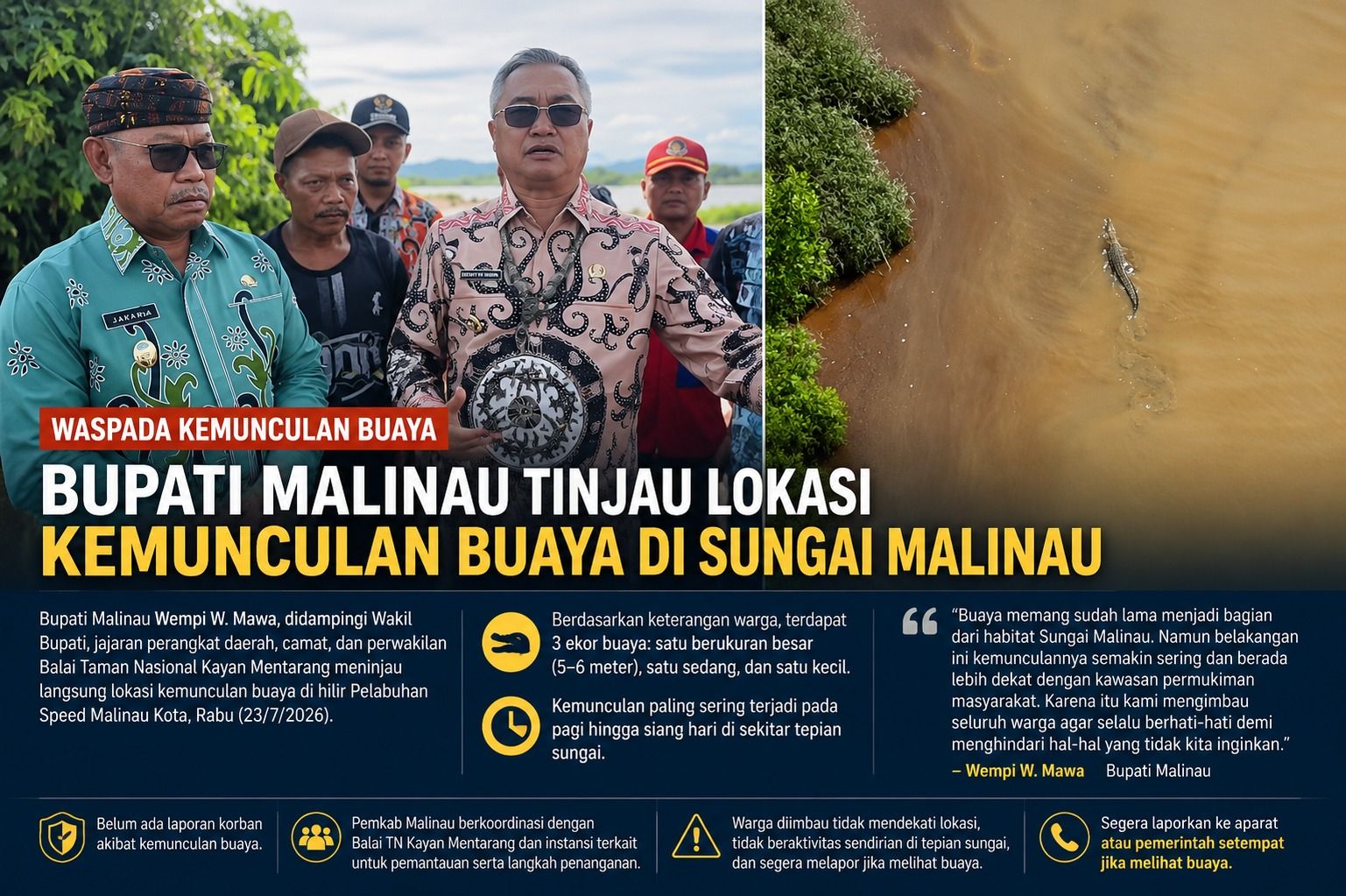 Respons Cepat Keluhan Warga, Bupati Malinau Tinjau Kemunculan Buaya di Sungai Malinau