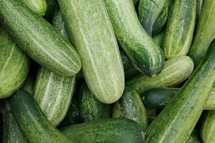 Segar dan Kaya Manfaat! Ini 12 Alasan Kamu Harus Rutin Makan Mentimun