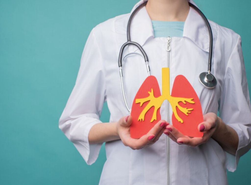Sistem Ekskresi Manusia Beserta Organ dan Fungsinya