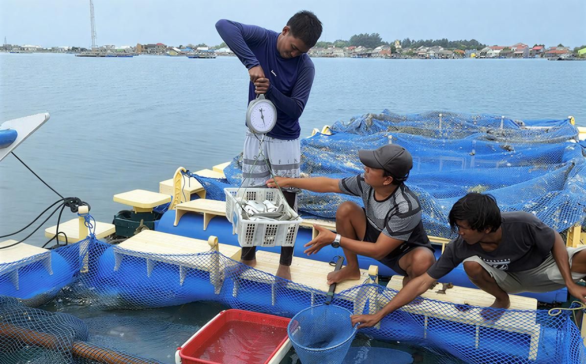 Jakarta Garap Perda Sistem Pangan Pertama di Indonesia: Fokus Kelautan Kepulauan Seribu Jadi Kunci Ketahanan Pangan Masa Depan
