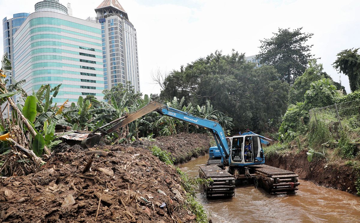 Dukung Normalisasi Kali Ciliwung, Komisi D DPRD DKI Jakarta Minta Warga Aktifkan Kembali Kerja Bakti Rutin