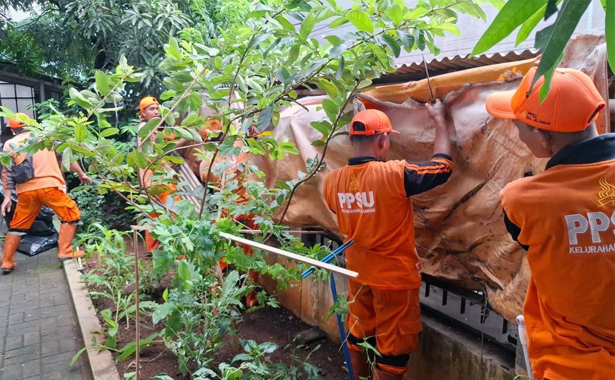 Demi Kenyamanan Siswa, Petugas Gabungan Tertibkan Terpal Pedagang yang Nyelonong ke SDN 03 Jelambar