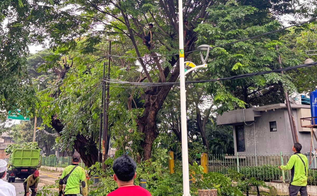 Warga Jakarta Utara Kini Bisa Bernapas Lega! Ribuan Pohon Rawan Tumbang Sukses Dibereskan Pasukan Hijau Tamhut