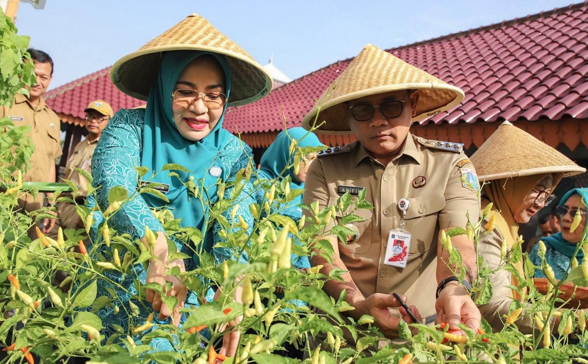 Panen Raya 1,2 Ton di Jakarta Pusat, Bukti Urban Farming Jadi Solusi Ampuh Cegah Stunting