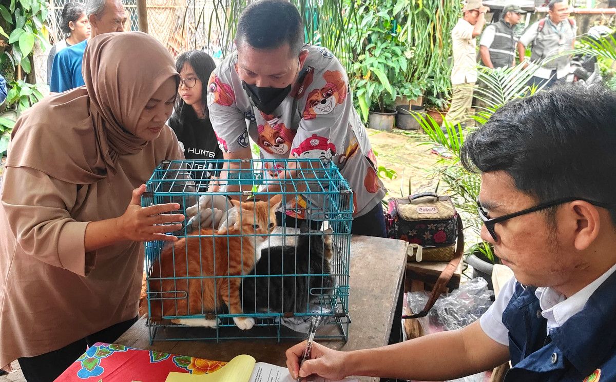 Vaksinasi Rabies Gratis Jakarta Selatan: 185 Hewan di Ulujami Disuntik Demi Pertahankan Kota Bebas Rabies
