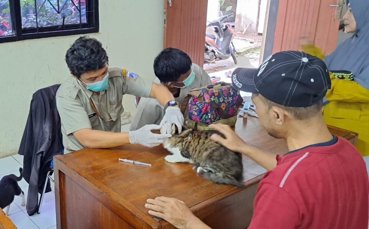 Cegah Rabies Sejak Dini! Puluhan Hewan Peliharaan di Pejaten Barat Dapat Vaksin Gratis