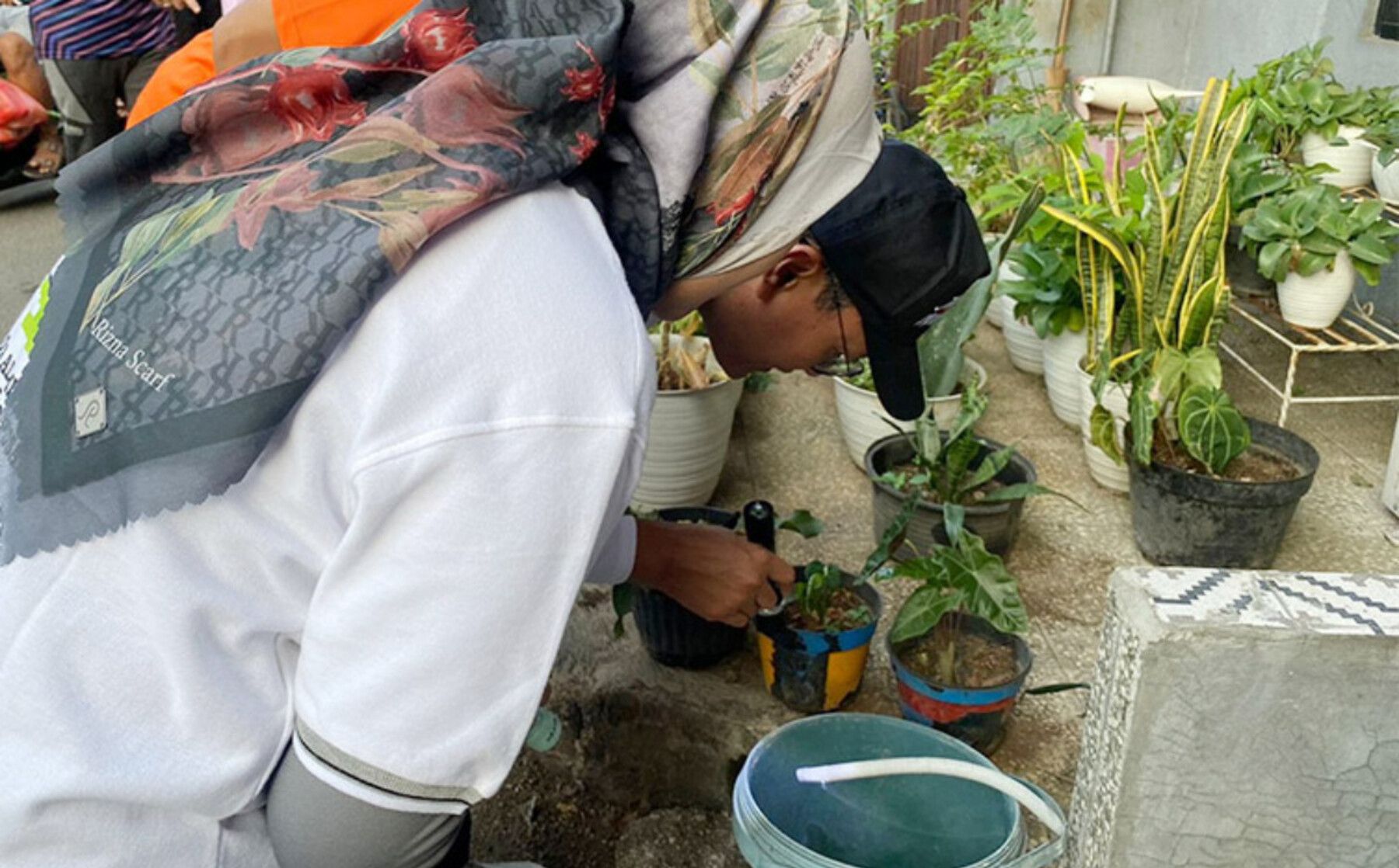 Kasus DBD Mulai Naik, Dinkes DKI Jakarta Perketat Pengawasan Jentik di Musim Hujan