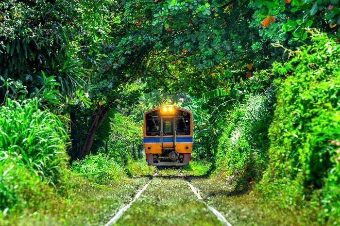 17 Caption Singkat tentang Tragedi Kereta Api yang Menyentuh Hati dan Penuh Empati