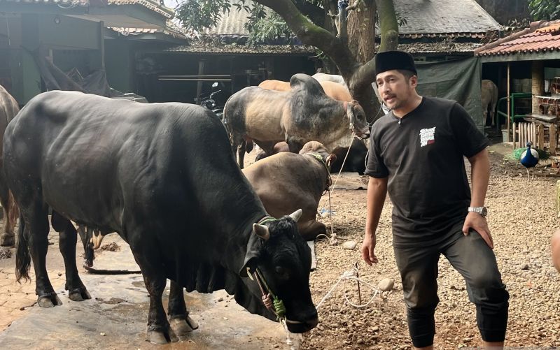 Di Balik Ramainya Kurban Irfan Hakim, Puluhan Panitia Sibuk Kemas Daging untuk Warga