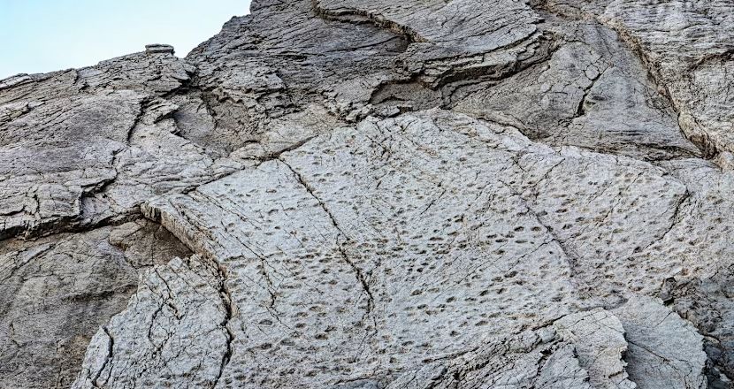 Ribuan Jejak Dinosaurus Ditemukan di Tebing Alpen Dekat Lokasi Olimpiade Musim Dingin