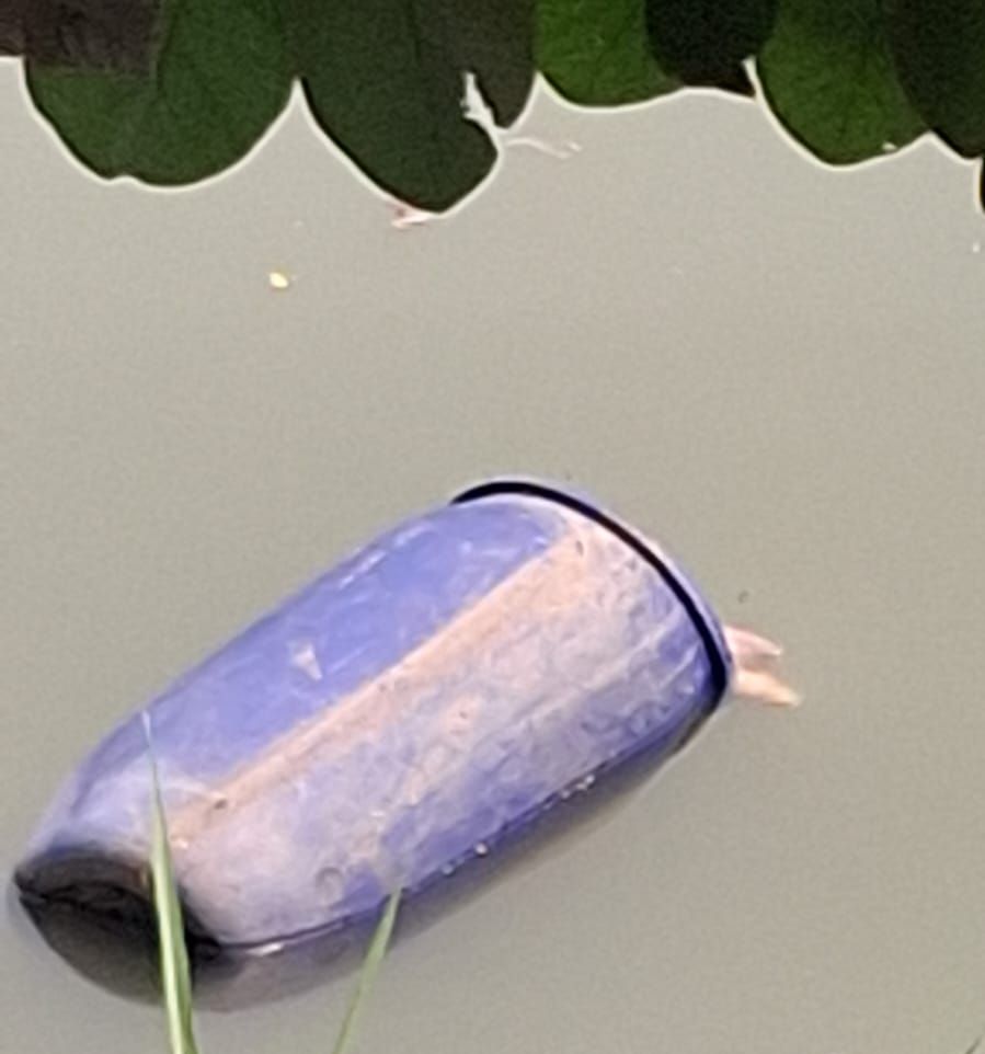 Ditemukan Jasad Wanita dalam Drum di Sungai Cisadane, Kota Tangerang