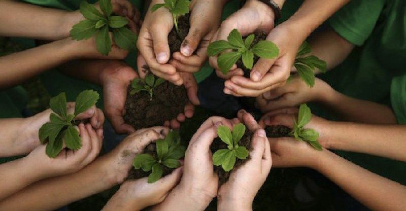 35 Ide Nama Komunitas Pecinta Alam yang Keren dan Bermakna