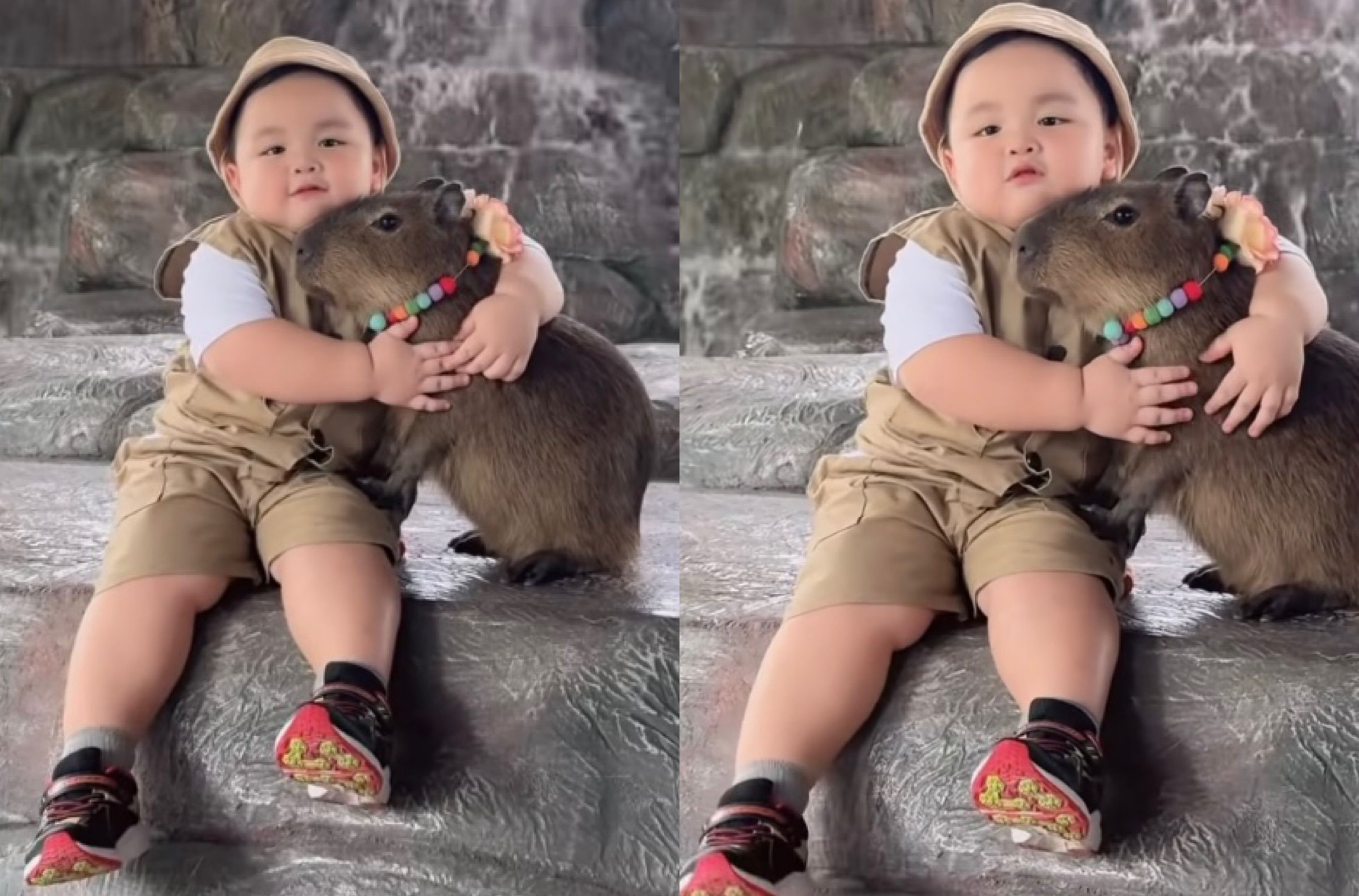Momen Gemas Anak Kecil Peluk Capybara di Kebun Binatang Thailand Jadi Viral