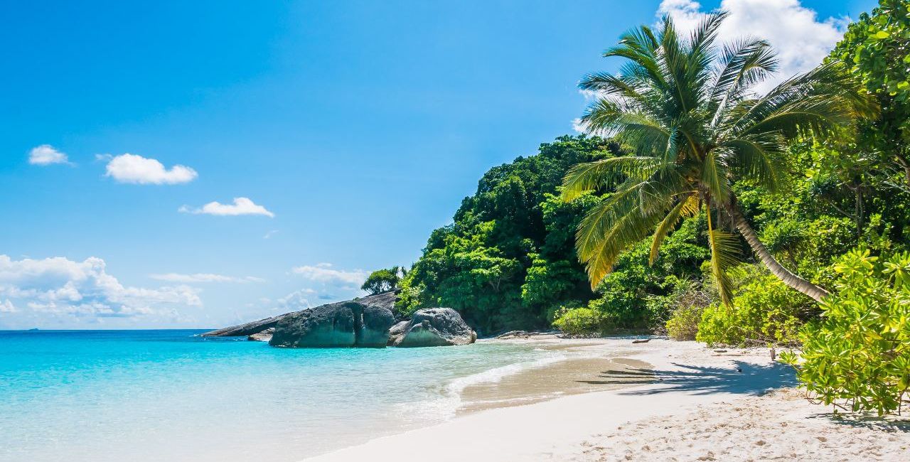 5 Arti Mimpi di Pantai Menurut Primbon Jawa, Tanda Perubahan dalam Hidup?