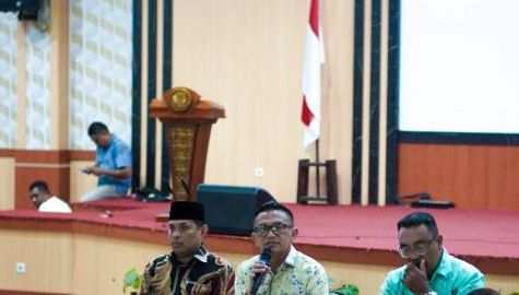 Pemkab Pulau Morotai Dorong ASN Profesional Lewat Sosialisasi Manajemen Talenta Bersama BKN