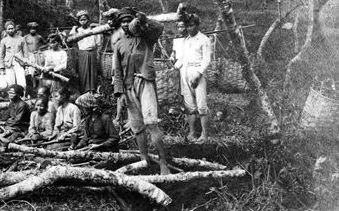 Sejarah Agrarische Wet 1870: Saat Tanah Hindia Belanda Dibuka untuk Investor Asing