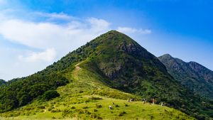 Hidden Gems Bombana! 4 Jalur Pendakian Gunung dengan Panorama Spektakuler yang Belum Banyak Dijelajahi