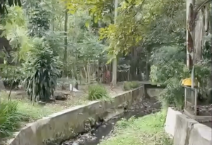 Pemkot Malang Siapkan Taman Baru di Jalan Bondowoso, Perluas Ruang Hijau Lewat Dukungan CSR