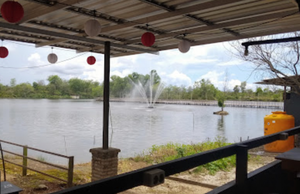 Danau Wisata Kuliner & Cangkir Coffee: Tempat Makan Keluarga Hits di Banjarbaru dengan Pemandangan Danau