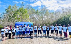 PNM Hadirkan Dampak Berantai bagi Lingkungan dan Ekonomi Pesisir di Hari Mangrove Sedunia
