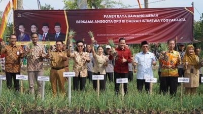 DPD RI Apresiasi Panen Bawang Merah di Gunungkidul, Ini Katanya