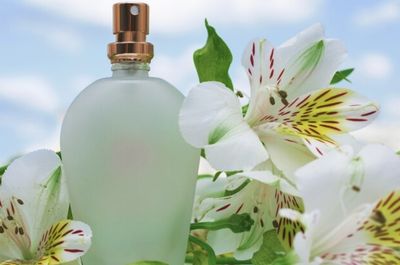 17 Ide Nama Usaha Parfum Bunga Lily yang Wangi, Aesthetic, dan Siap Bikin Jatuh Hati!