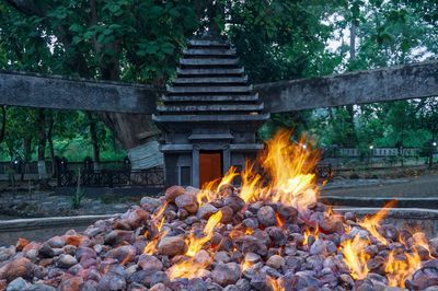 Wisata Tipis-Tipis ke Bojonegoro: 5 Spot yang Bikin Betah dan Adem