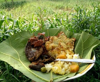 Warung Semok: Sensasi Makan Ikan Gloso Sambal Kemangi di Tengah Hutan Jati Bojonegoro