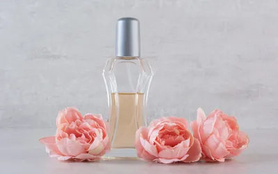 17 Ide Nama Usaha Parfum Bunga Dahlia yang Wangi, Elegan, dan Siap Bikin Bisnismu Makin Cuan!